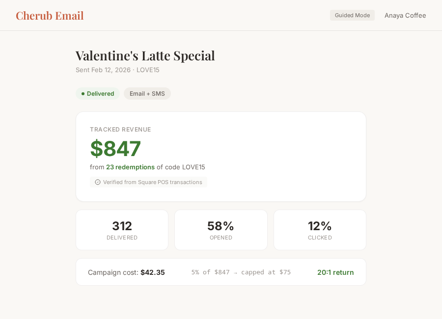 Campaign results showing real revenue from POS